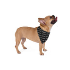 Rodeo Kween Pet Bandana — Black Repeating Logo Dog & Cat Scarf