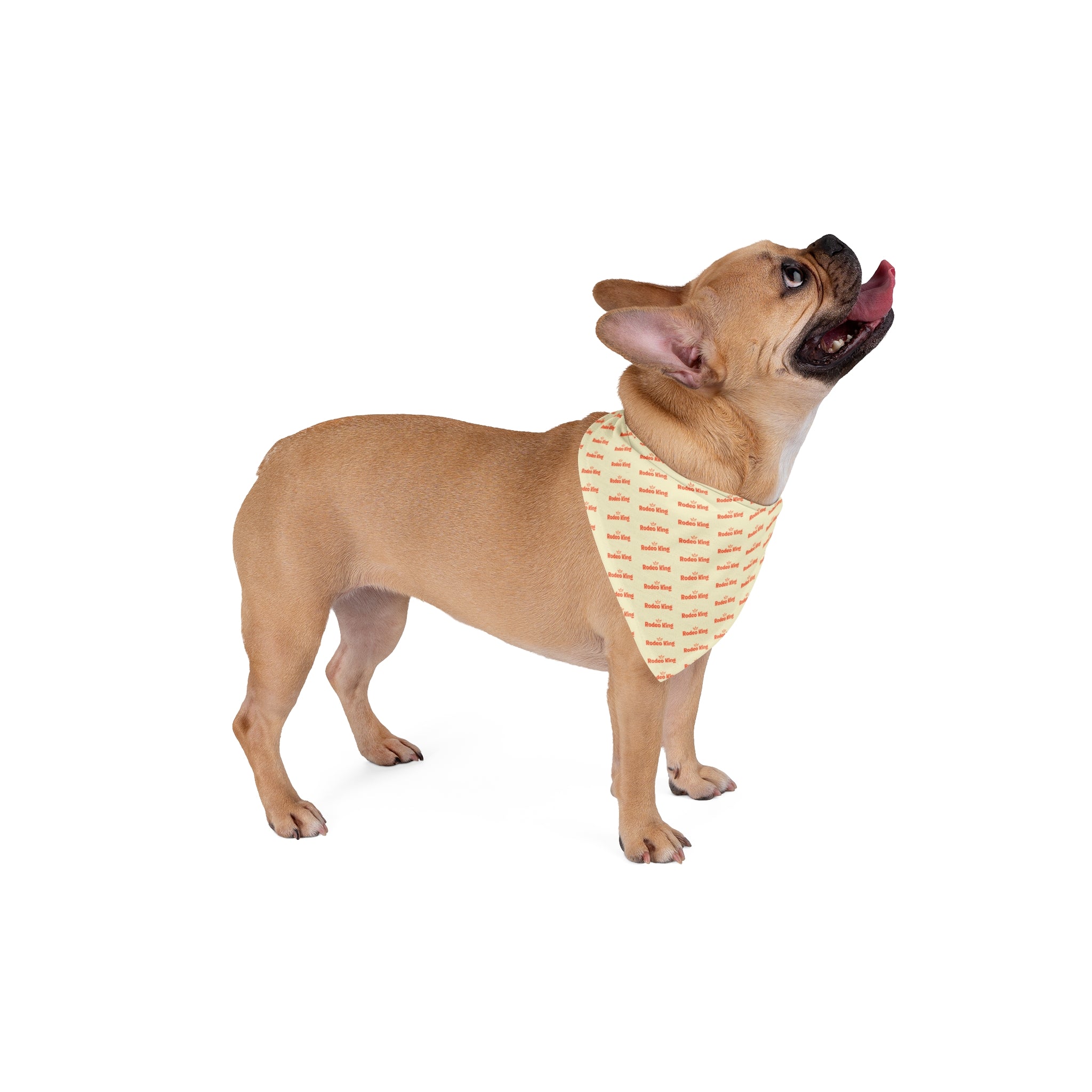 Pet Bandana — Repeating 'wild child' Script Print, Lightweight Triangle Scarf for Dogs & Cats